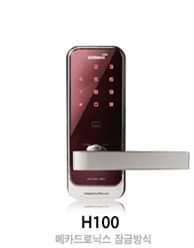 H100